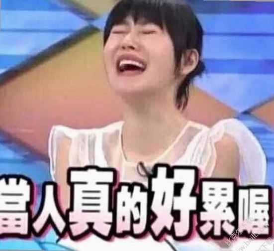 免费91官方版：畅享高清动漫与影视的全新体验