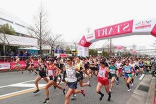 如何获取 免费观看45分钟高清电视动漫官方版正版下载 ？