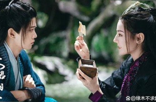 探索91免费官方版免费版：从多版本到最新资源的全方位解析