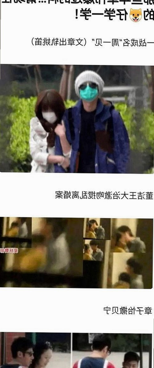 揭秘《乱公伦媳》免费免费版官方版：菠萝视频官方版下载背后的娱乐风云