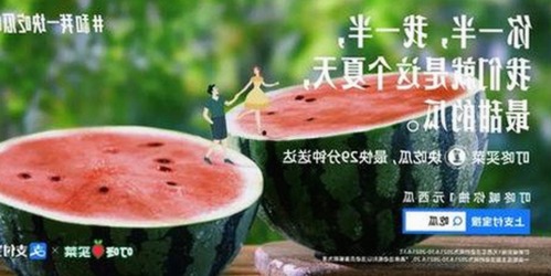 91破解版官方版：探索益阳市热门资源与玩法