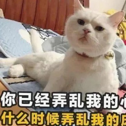 云浮市用户如何安全高效地进行看片安装包下载