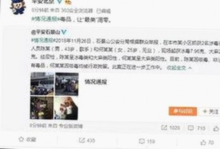全面解析樱花视频官方版的现状与发展动向