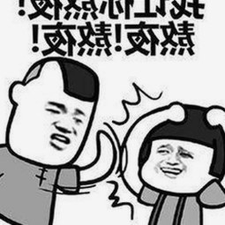 深入了解狼友免费视频官方版：内容、下载途径与使用体验