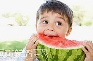 禁漫天堂下载最新版下载：体验最新内容的最佳选择