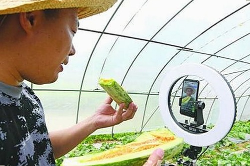 通辽市用户热议：人动物高清免费观看普通话官方版引发关注