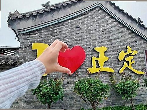 大象回家永不迷路视频2023最新版：探索汕头市的温馨故事与流行趋势