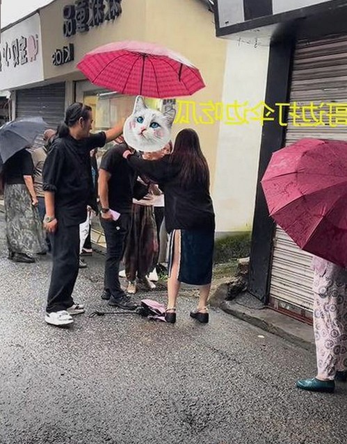 探索崇左市的娱乐新体验：免费91最新版下载引领潮流