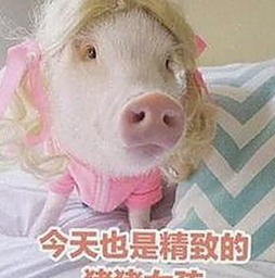 湘潭市用户体验：91🍆🍑🔞❌❌❌一起草wwwcom91官方版的最新动态