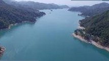 蘑菇视频免费版全新体验：畅享高清动漫与多样资源