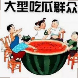 探索www91官方版免费版：百色市用户的最新选择