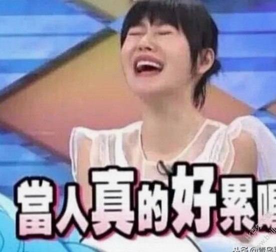 深入了解糖心vlgo官网：娱乐与资讯的理想选择
