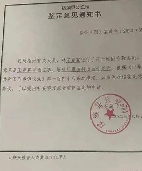 蘑菇视频官方版：最新资源与内容介绍