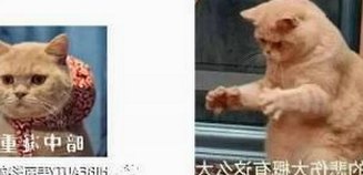 刘宇宁推荐：9.1免费视频免费版官方版带你畅享精彩视界