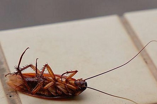 麻豆视频在线观看官方版：探索咸宁市最新娱乐动态与人物变化