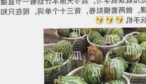 明星动态揭秘：高清乱码🔞❌♋免91官方版引领新潮流