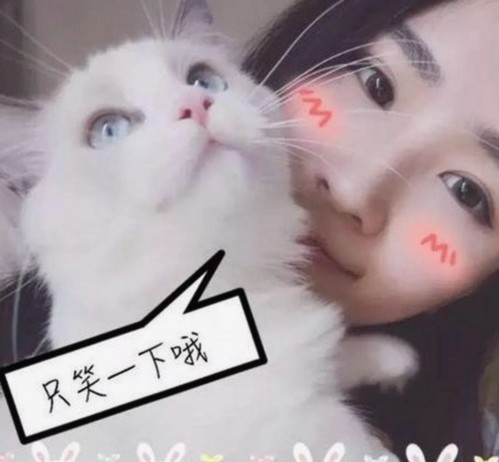 全面解析91🍆🍑🔞❌❌❌一起草wwwcom17免费官方版的最新动态