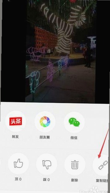 探秘柳州市：最新茄子视频免费版官方版引发热议