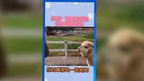 浅析手机看片官方版的现状与发展趋势