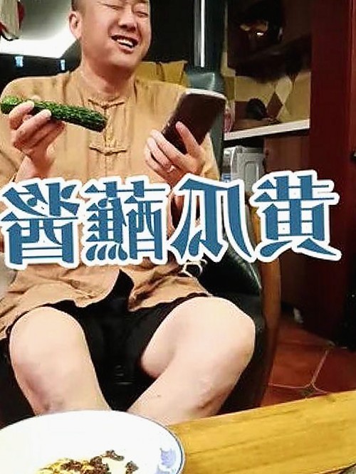 探索《91免费官方版》：满足你多样娱乐需求的新选择