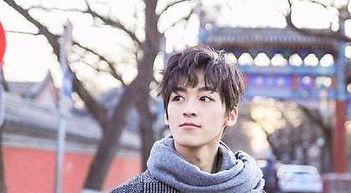 最新高清乱码🔞❌♋波萝视频免费版：全面解析现状与发展