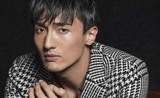 探索黄色软件下载免费版的多样性与安全性