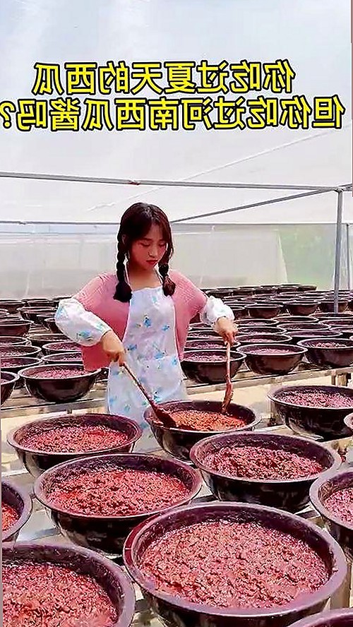 揭秘娱乐圈幕后故事：如何轻松获取91免费官方版正版下载体验