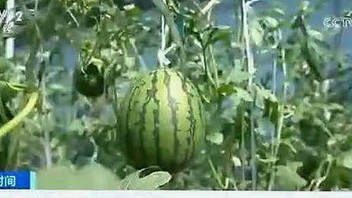 男🍌❌女🍑摸🐻水流是免费版下载：最新下载渠道与安全指南