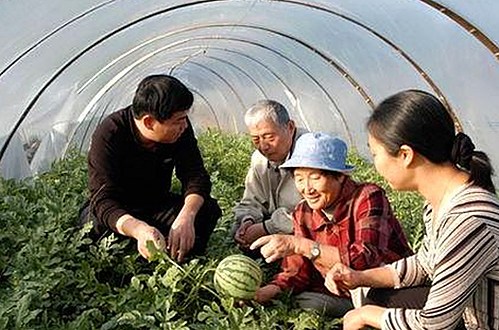 77777免费高清电视剧犯罪官方版：探索宁波市中的精彩剧情和最新资源