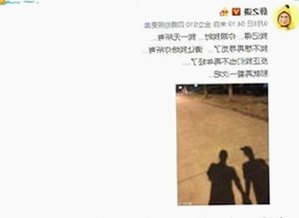 全面解析91视频官网：丰富内容与多样资源的核心平台