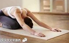 全面解析：免费的网站www下载的现状与实用建议