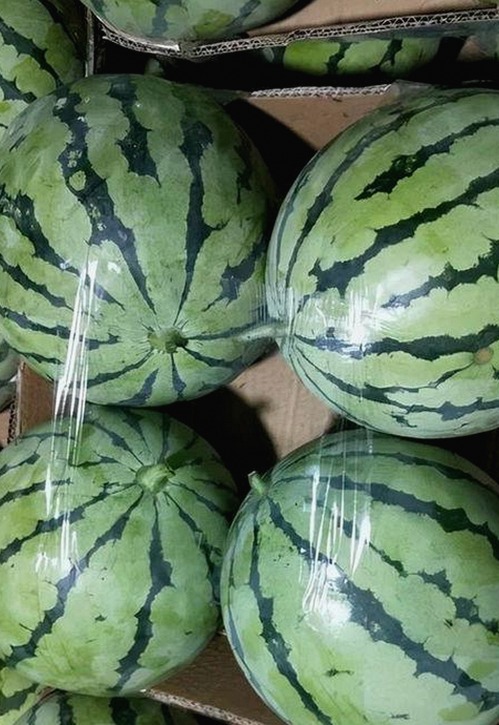 最新消息：菠萝TV免费版下载助您畅享高清影视体验