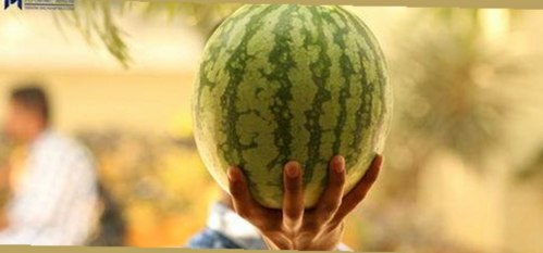 已满十八在线观看高清电视剧推荐官方版正版下载：明星背后的秘密与最新资源
