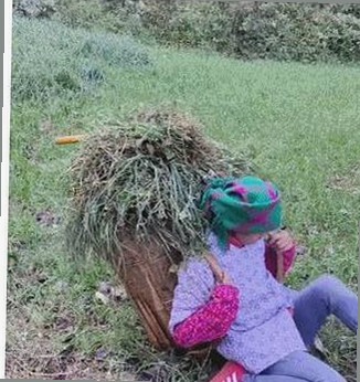 已满十八岁电视剧完整版免费版：真实娱乐的另一面