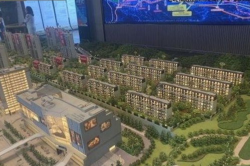 全面解析9+1视频免费官方版的最新动态与应用场景