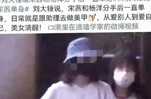 探秘最新的看片官方免费版:安全又便捷的观影体验