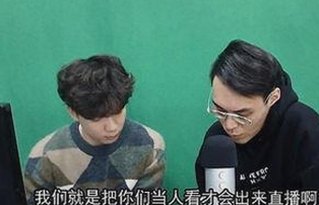 关于嫩草17.c 91官方版的详细介绍与资源解析