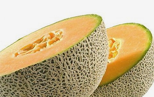 详解“撸撸射最新版下载”的最新动态与应用推荐