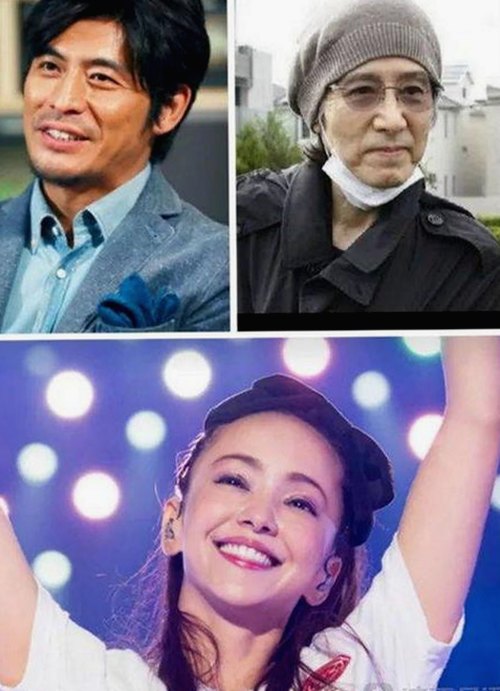 揭秘菠萝TV：最新资源与内容推荐