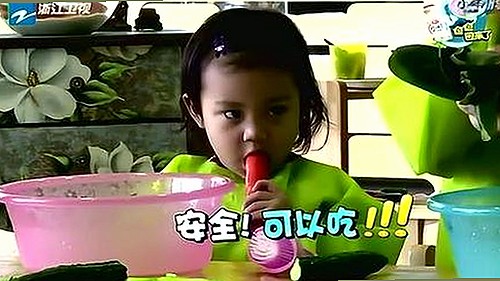 探索日批视频免费版的现状与相关资源介绍