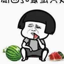 深入了解91n与免费版：功能、版本差异与内容推荐