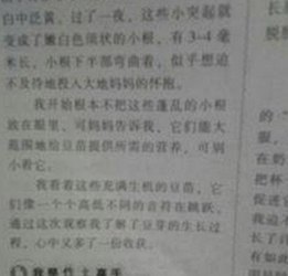 调色大片视频60分钟官方版：探索最新高清资源与下载途径