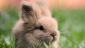已满十八岁60分钟电视剧官方版正版下载：最新收看途径解析