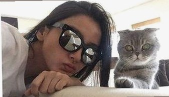 探索《91🍆🍑🔞❌❌❌一起草wwwcom91免费版下载》的现状与影响