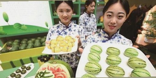 全面解析小🐔🐔伸进🈲🔞🔞官方版免费版的最新动态