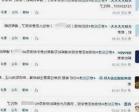 全面解析：51黑料官方版免费版的最新动态与应用环境