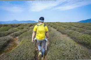 91视频入口：长治市用户最新观看体验盘点