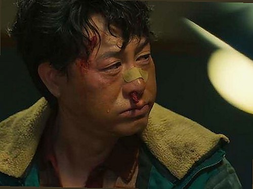 樱花视频官方版：高清观看体验与多样资源的完美结合