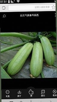 畅享娱乐新体验：菠萝TV带你走进多彩影视世界