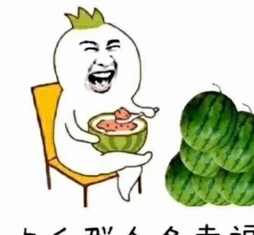 动感小站在线官方版：探索多元内容与安全选择的最好平台